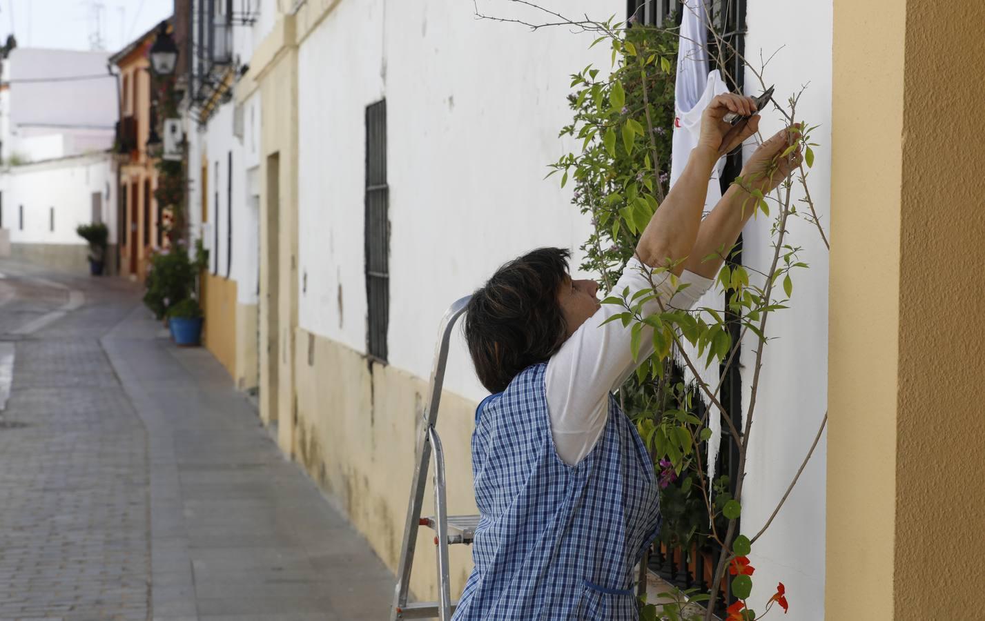 La quietud del Alcázar Viejo de Córdoba, en imágenes