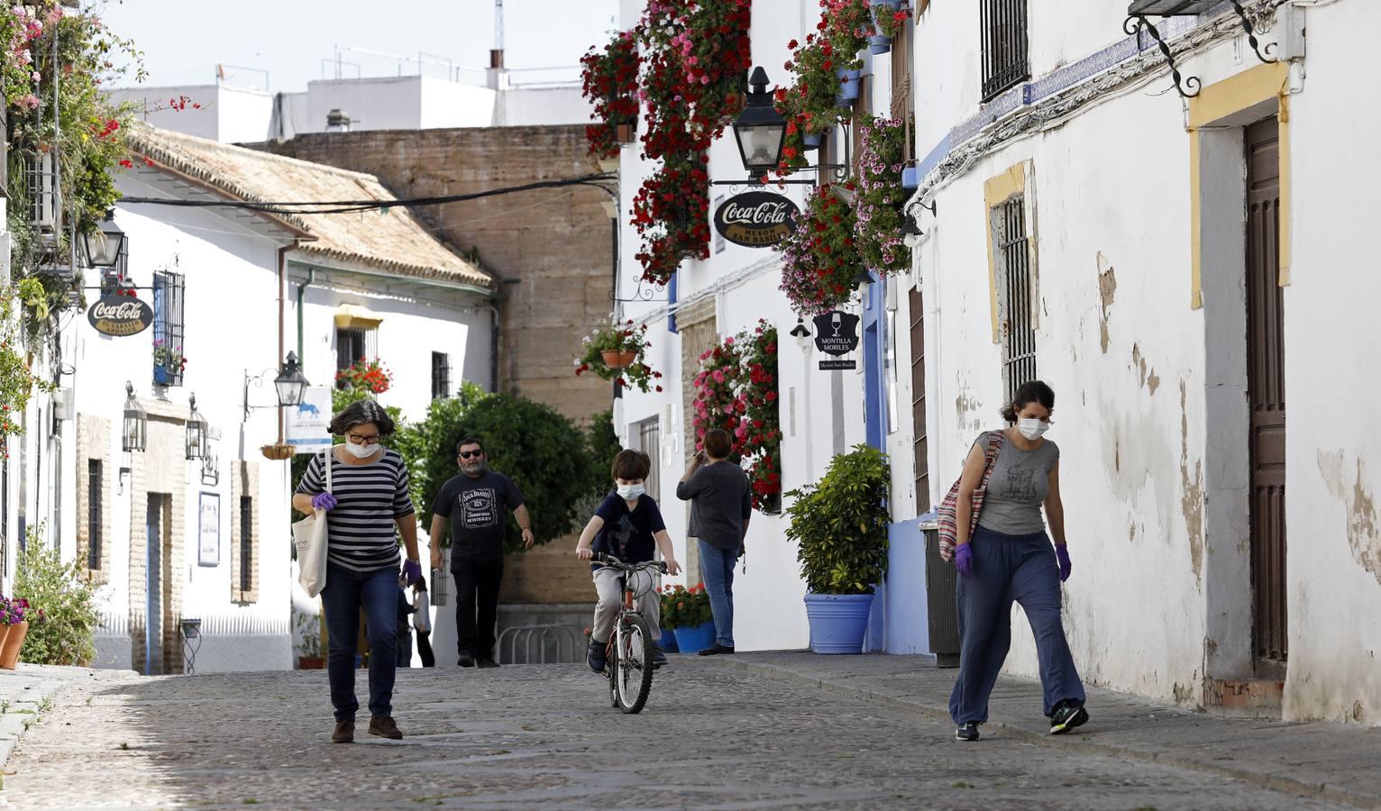 La quietud del Alcázar Viejo de Córdoba, en imágenes