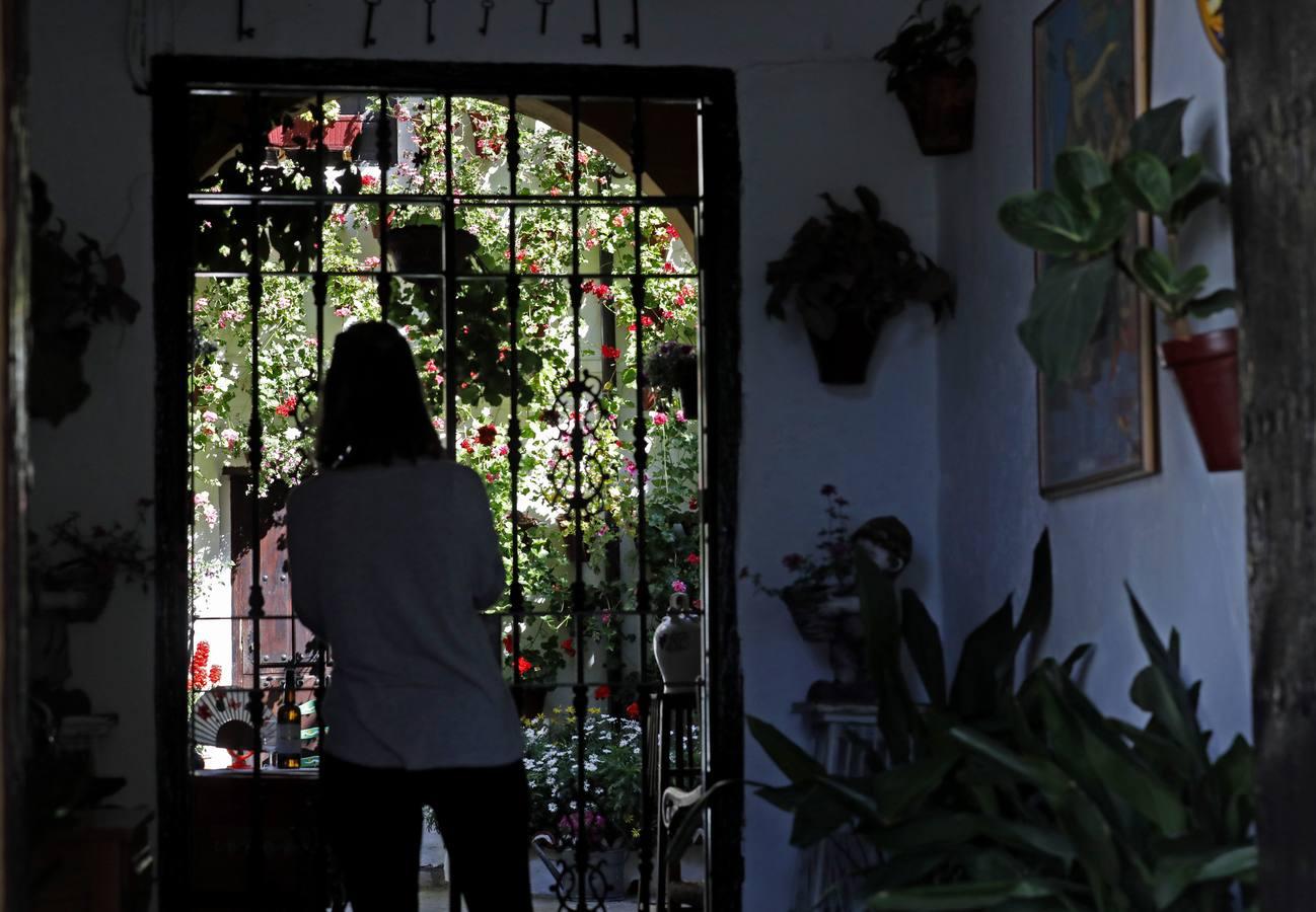 La quietud del Alcázar Viejo de Córdoba, en imágenes