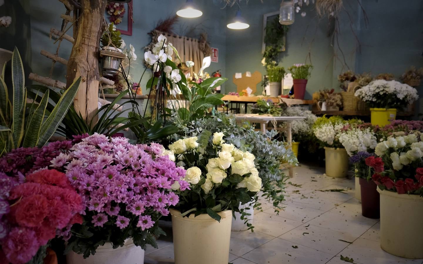 En imágenes, las floristerías de Sevilla se preparan para el Día de la Madre