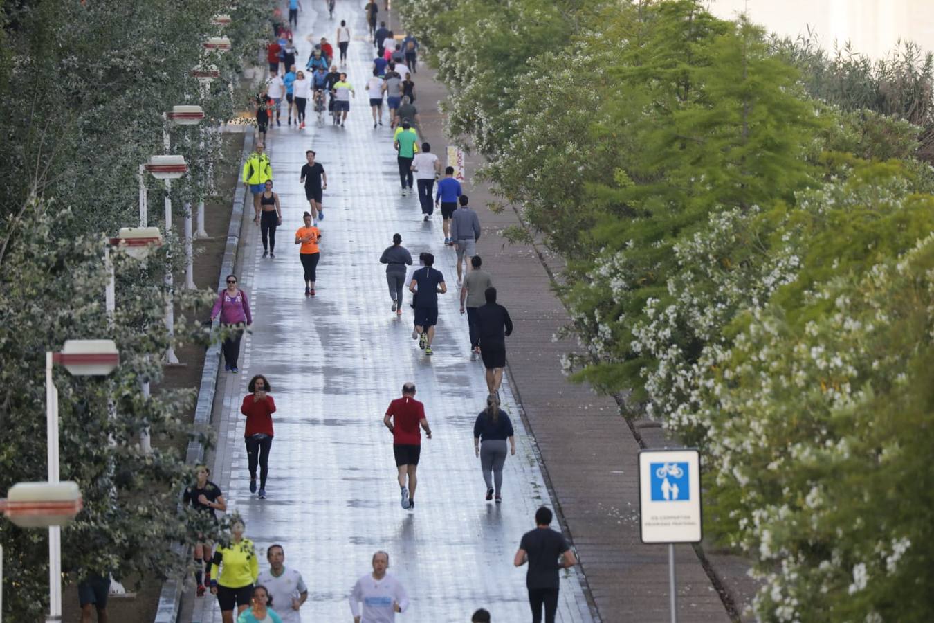 Desescalada Sevilla: Miles de sevillanos toman las calles para hacer deporte