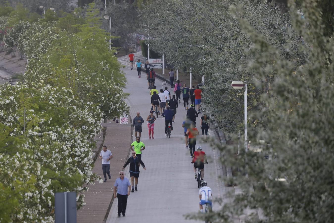 Desescalada Sevilla: Miles de sevillanos toman las calles para hacer deporte