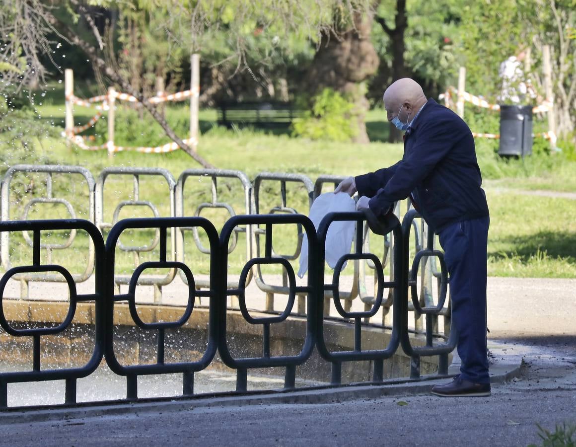 Desescalada Sevilla: Salida de los mayores por las calles de la ciudad