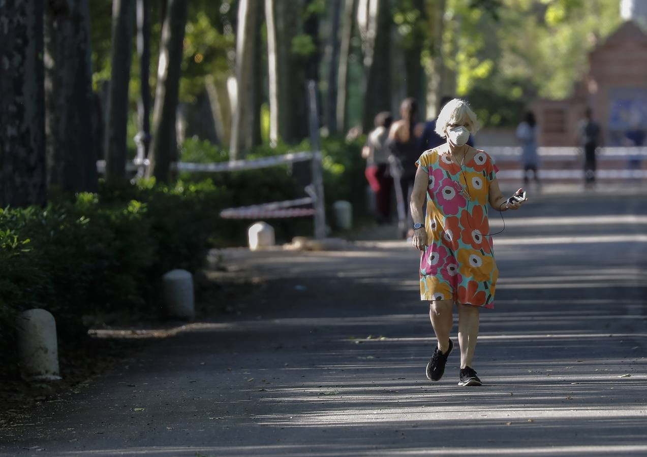 Desescalada Sevilla: Salida de los mayores por las calles de la ciudad