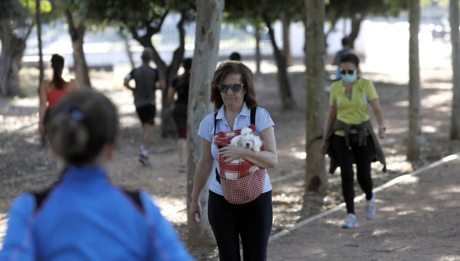 El deporte en el circuito del Tablero de Córdoba, en imágenes