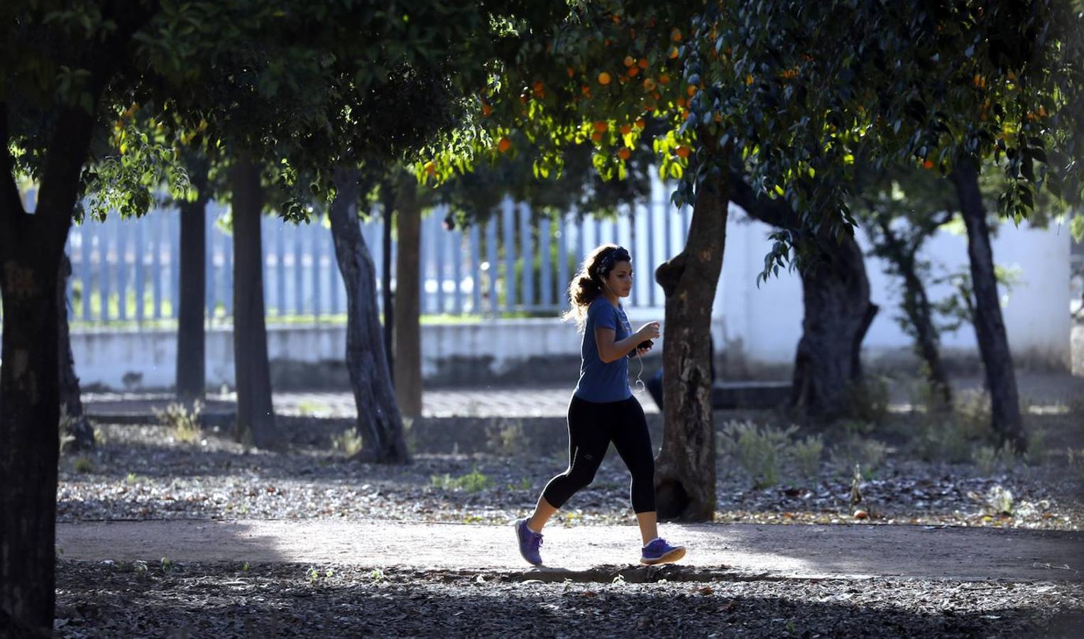 El deporte en el circuito del Tablero de Córdoba, en imágenes