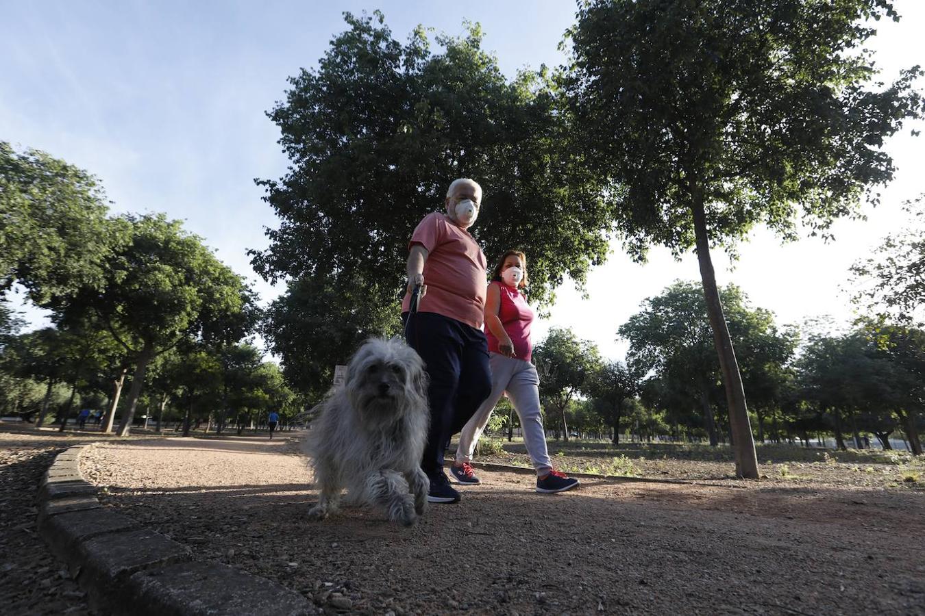 El deporte en el circuito del Tablero de Córdoba, en imágenes