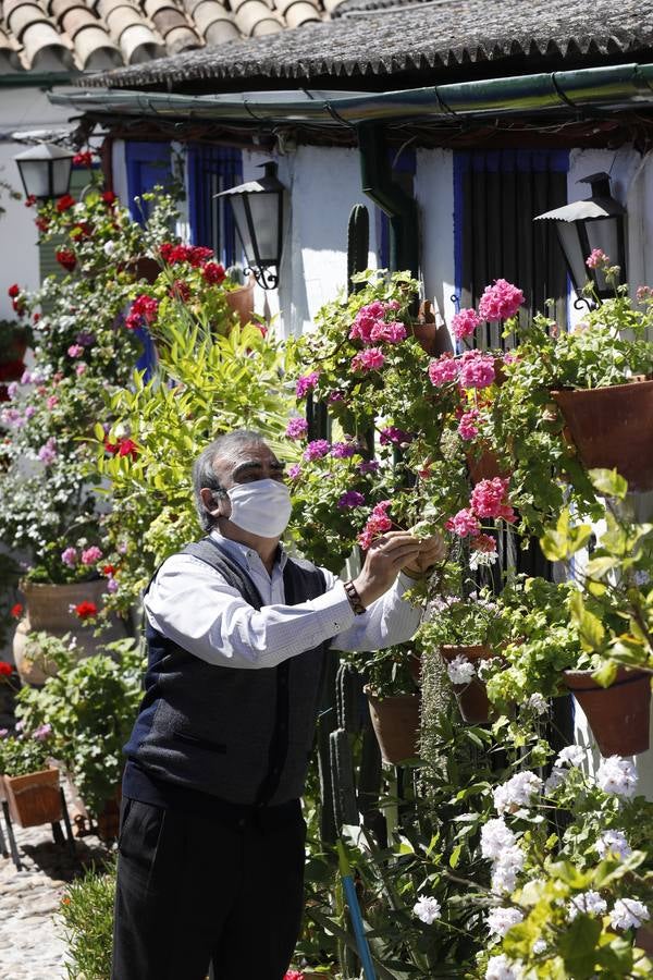 La plenitud primaveral de Córdoba pese al Covid-19 en Marroquíes 6, en imágenes