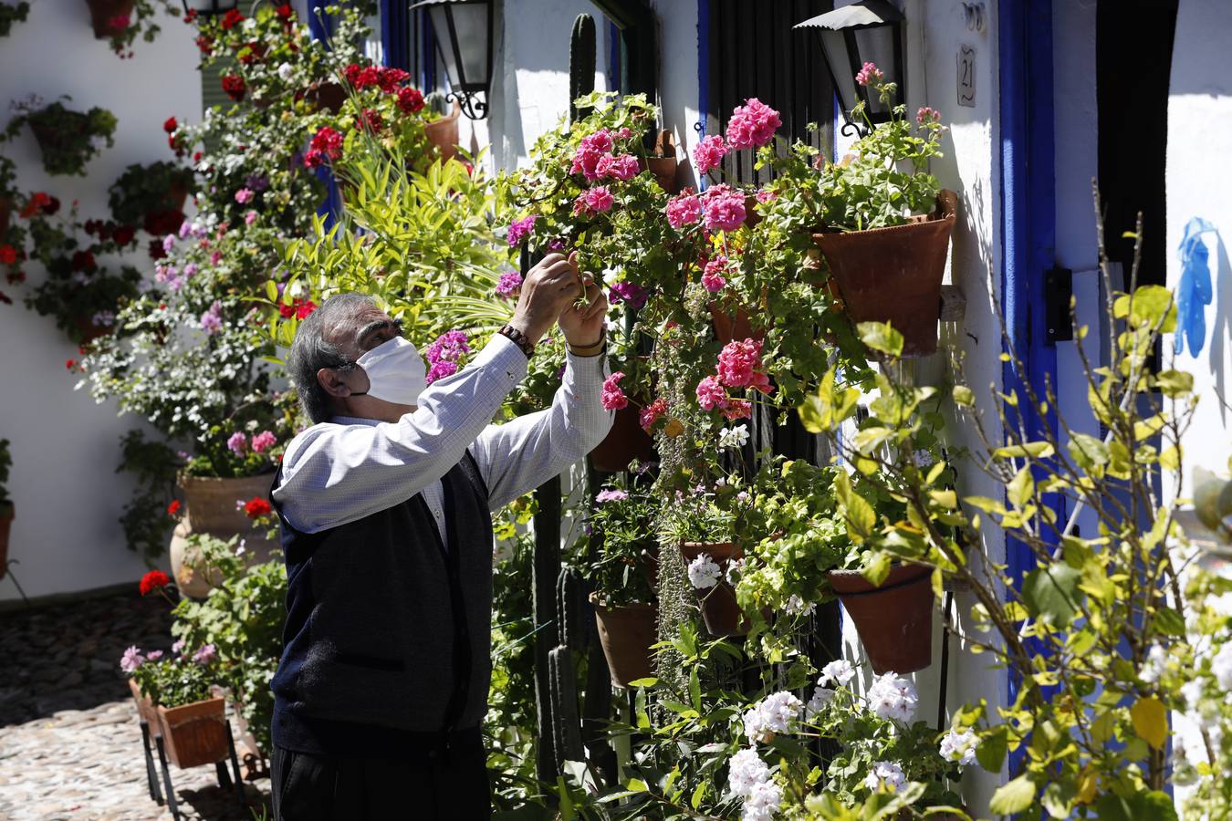 La plenitud primaveral de Córdoba pese al Covid-19 en Marroquíes 6, en imágenes