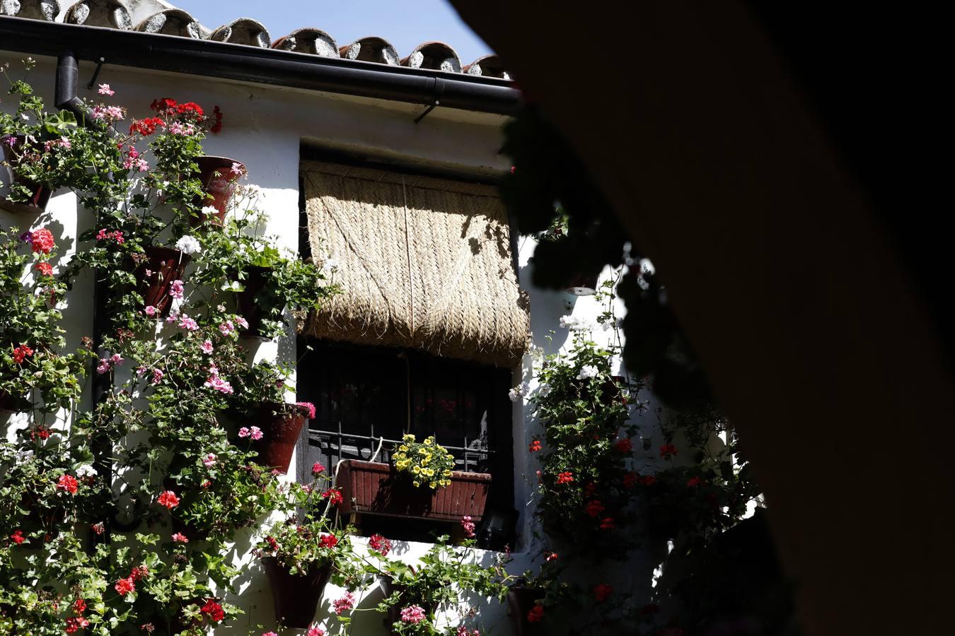 Los patios de San Basilio de Córdoba en el confinamiento, en imágenes