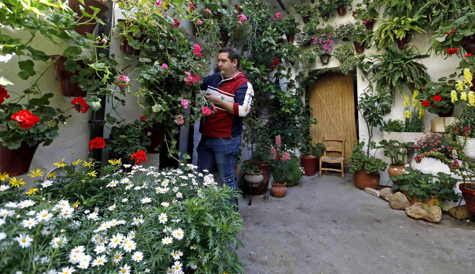 Los patios de San Basilio de Córdoba en el confinamiento, en imágenes