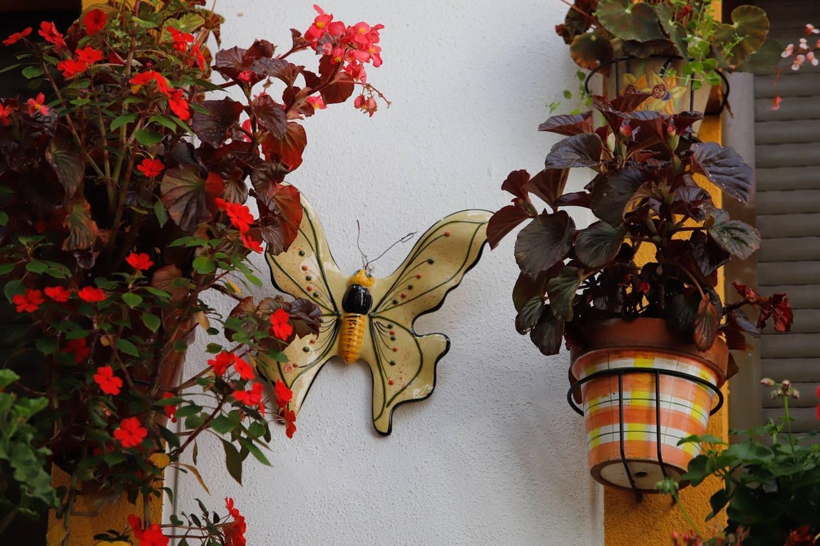 Los patios de Tafures, Ocaña y el Pozanco de Córdoba, en imágenes