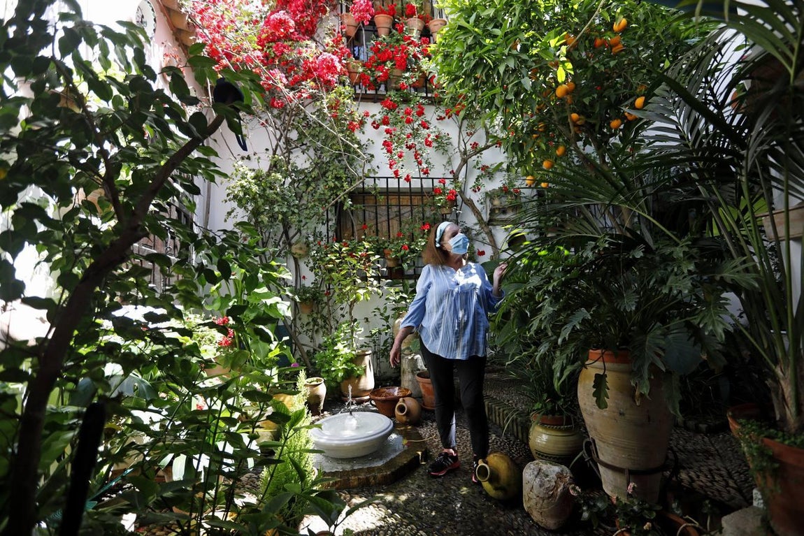 Los patios de Tafures, Ocaña y el Pozanco de Córdoba, en imágenes