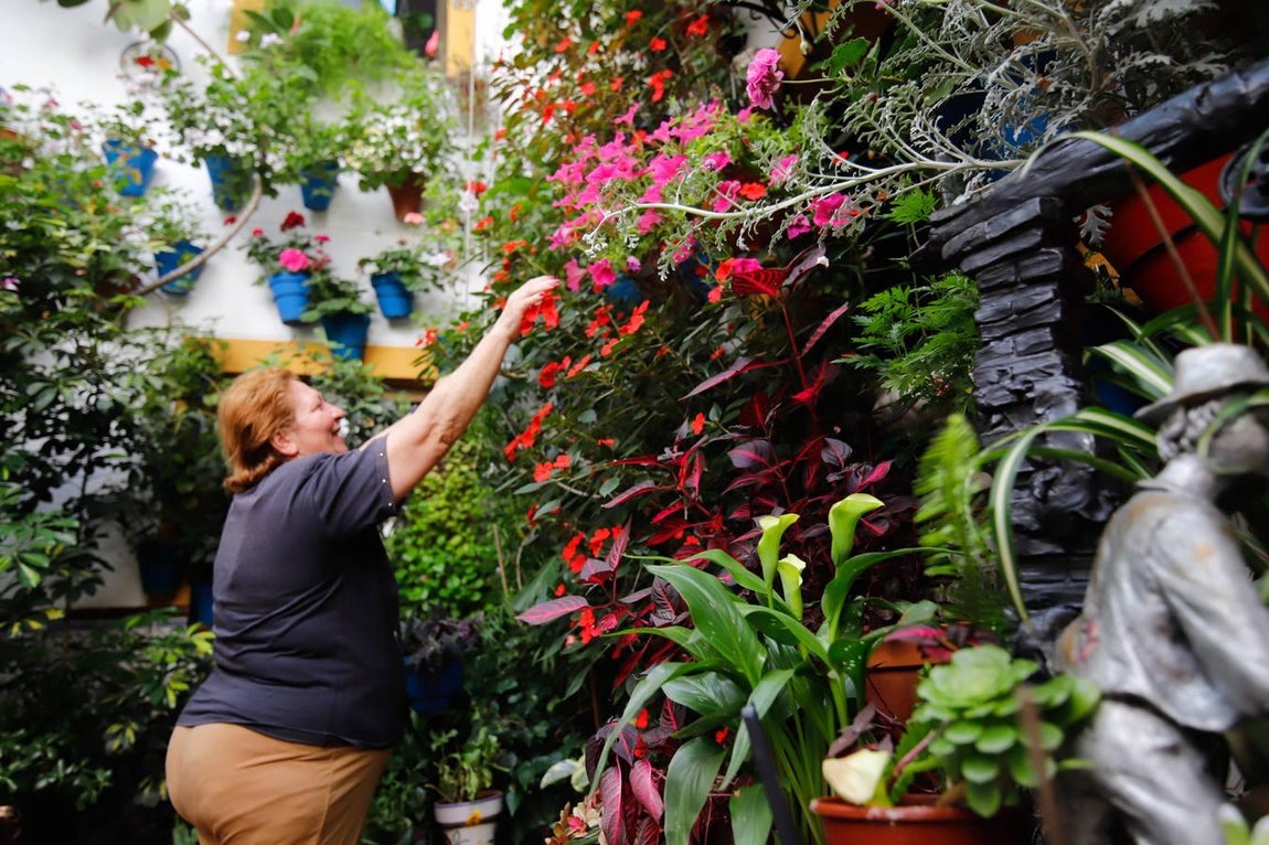 Los patios de Tafures, Ocaña y el Pozanco de Córdoba, en imágenes