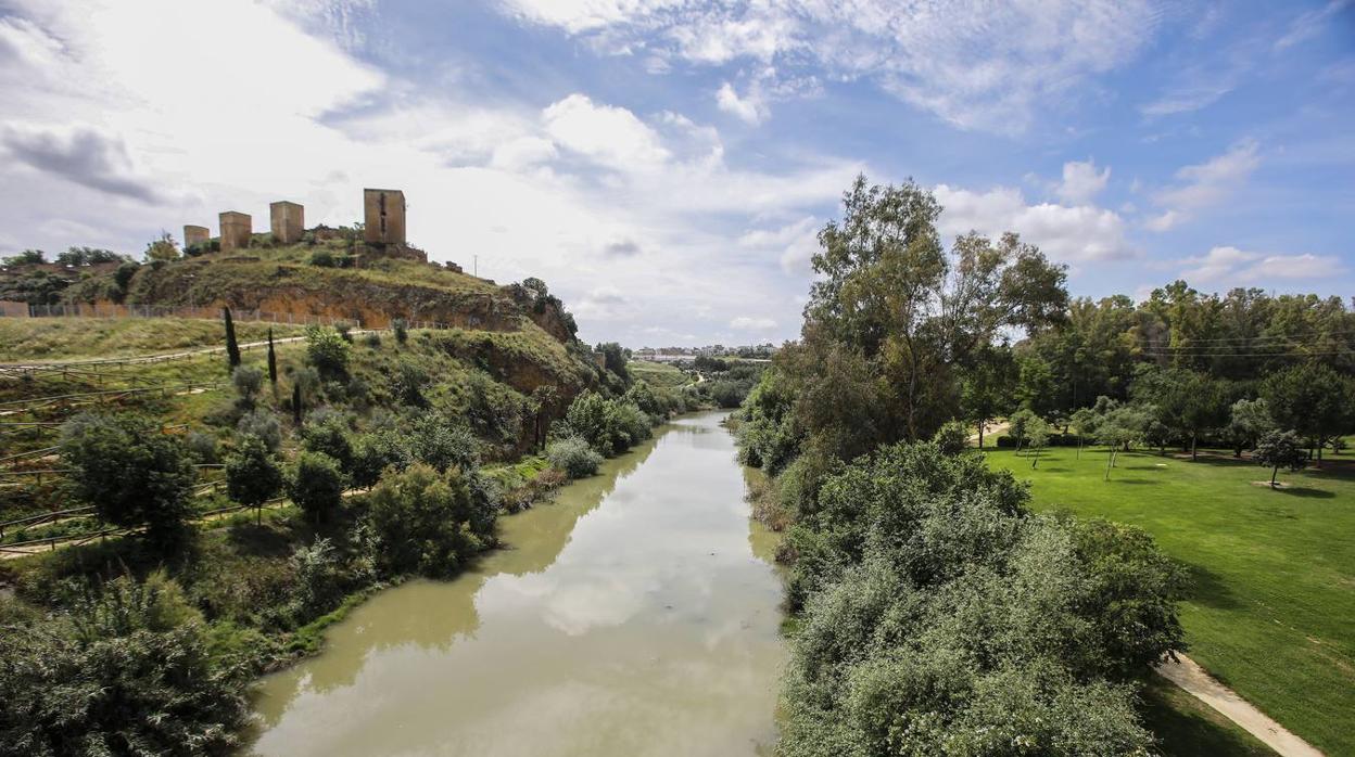 Coronavirus en Sevilla: Día a día en Alcalá de Guadaíra durante el confinamiento