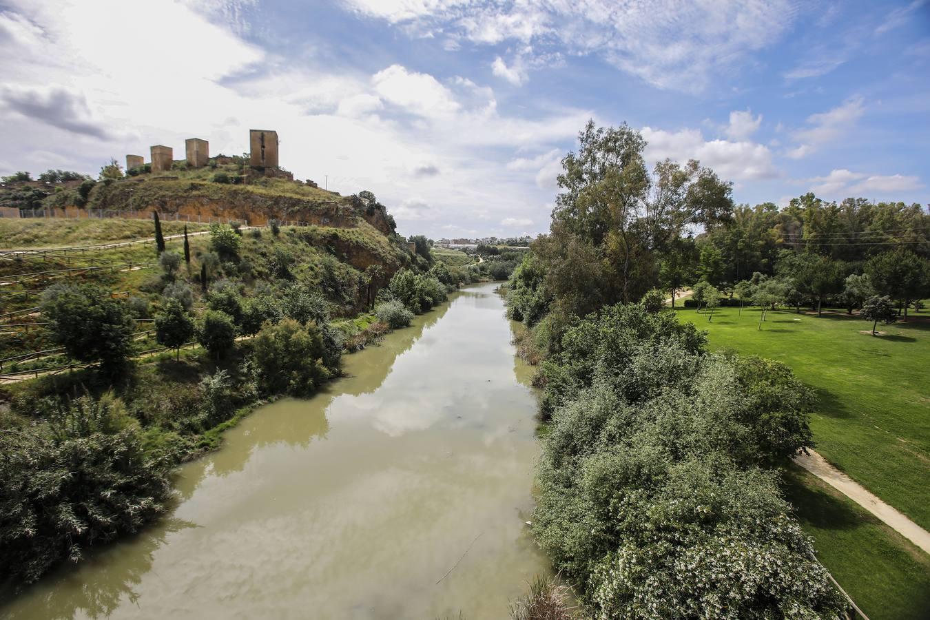 Coronavirus en Sevilla: Día a día en Alcalá de Guadaíra durante el confinamiento