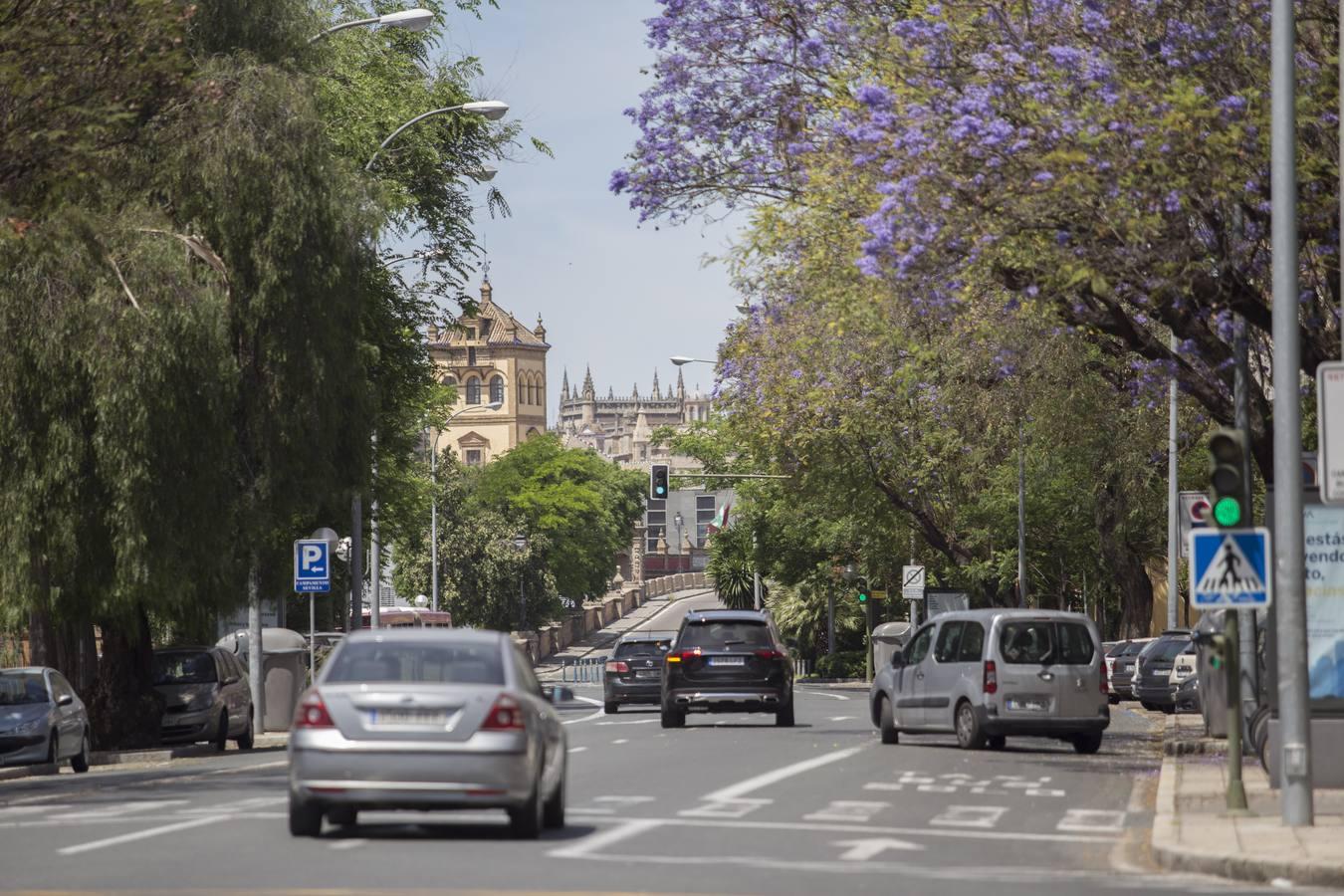 Los coches vuelven a tomar las calles de Sevilla