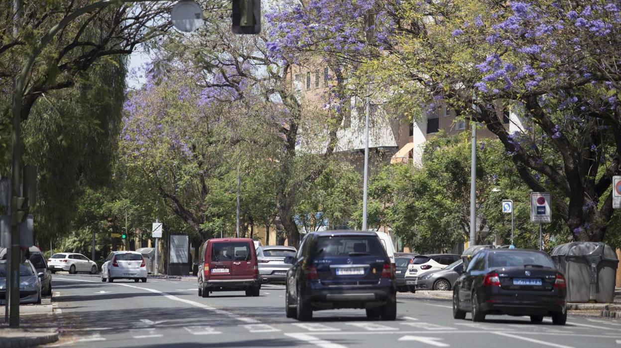 Los coches vuelven a tomar las calles de Sevilla