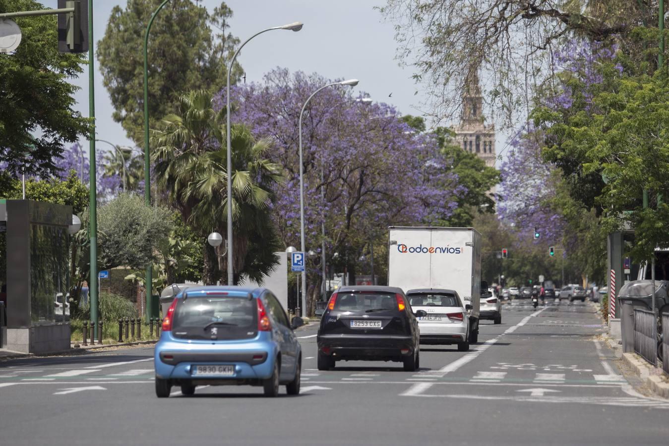 Los coches vuelven a tomar las calles de Sevilla