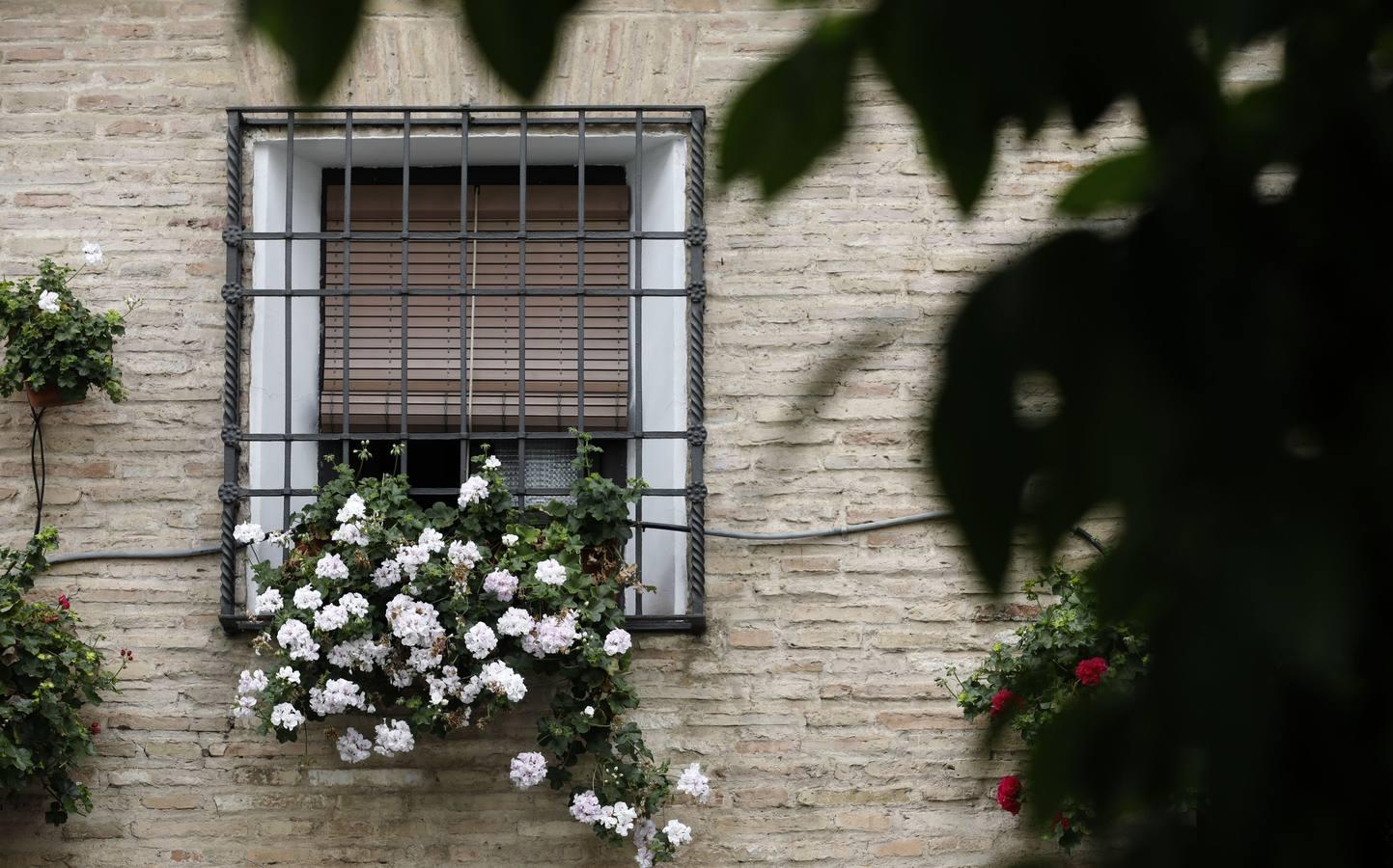 Las rejas y los balcones de Córdoba en 2020, en imágenes