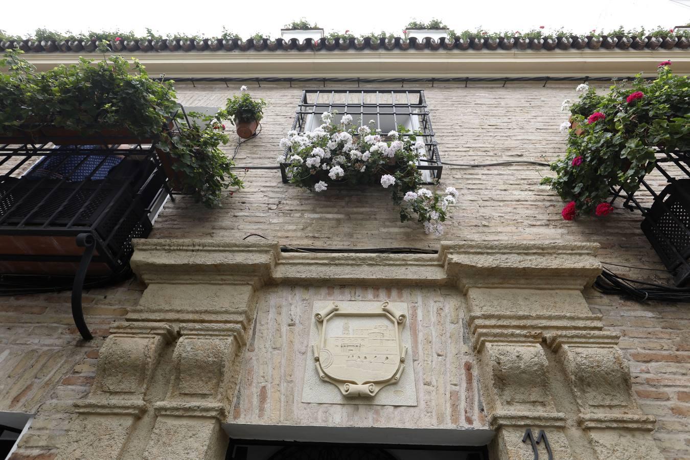 Las rejas y los balcones de Córdoba en 2020, en imágenes