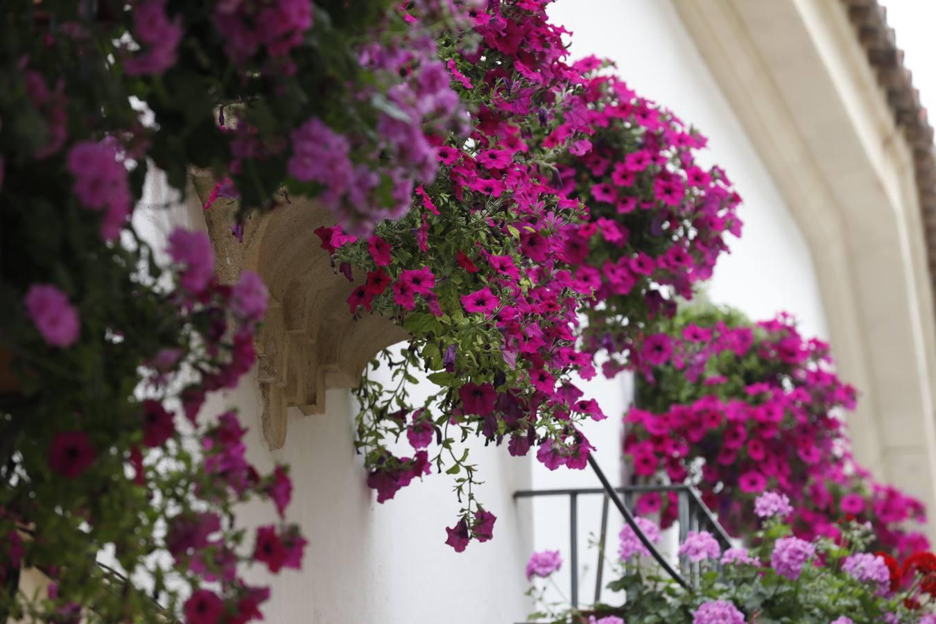 Las rejas y los balcones de Córdoba en 2020, en imágenes