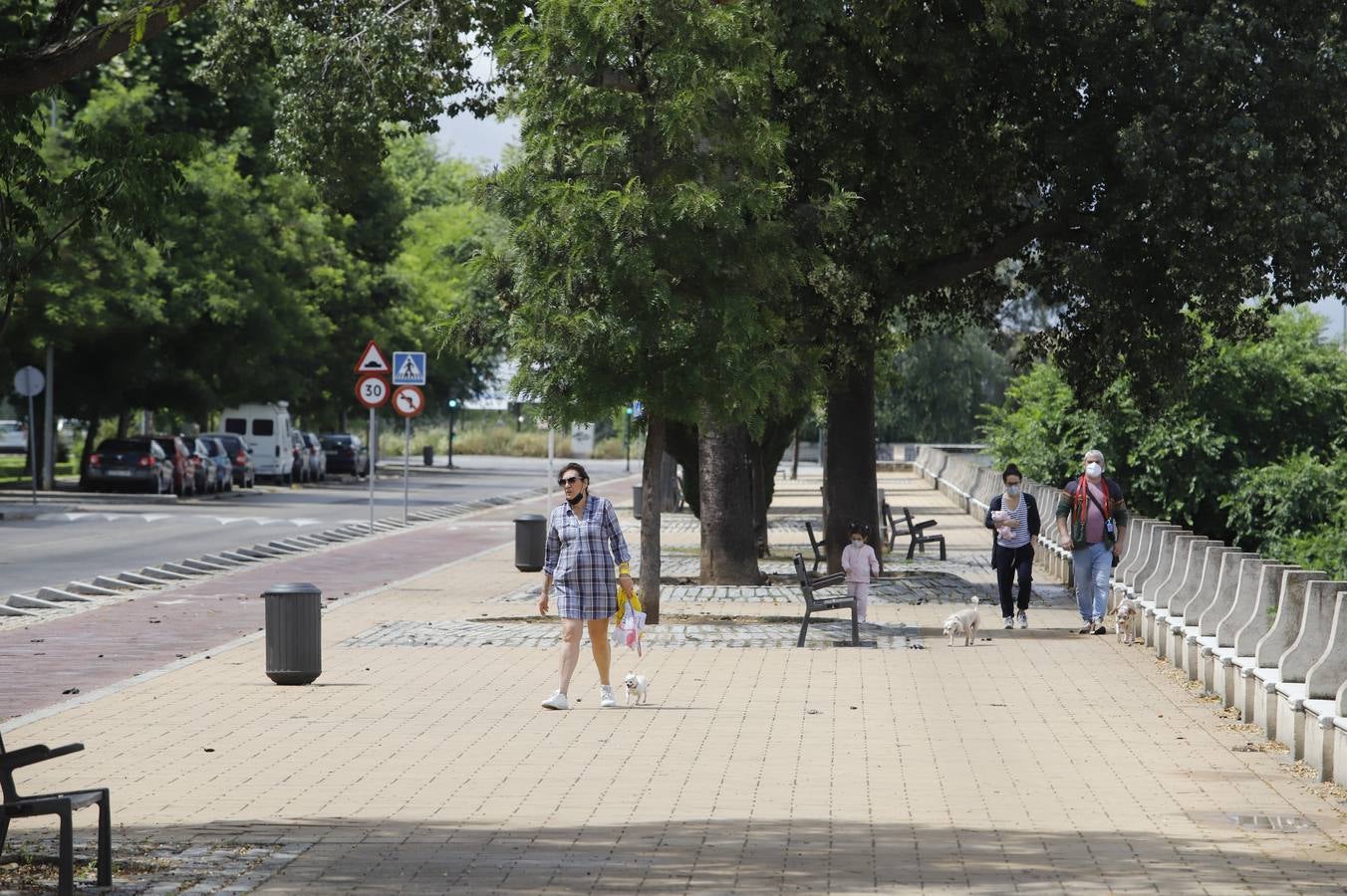 Las ocho nuevas zonas peatonales en la desescalada de Córdoba, en imágenes