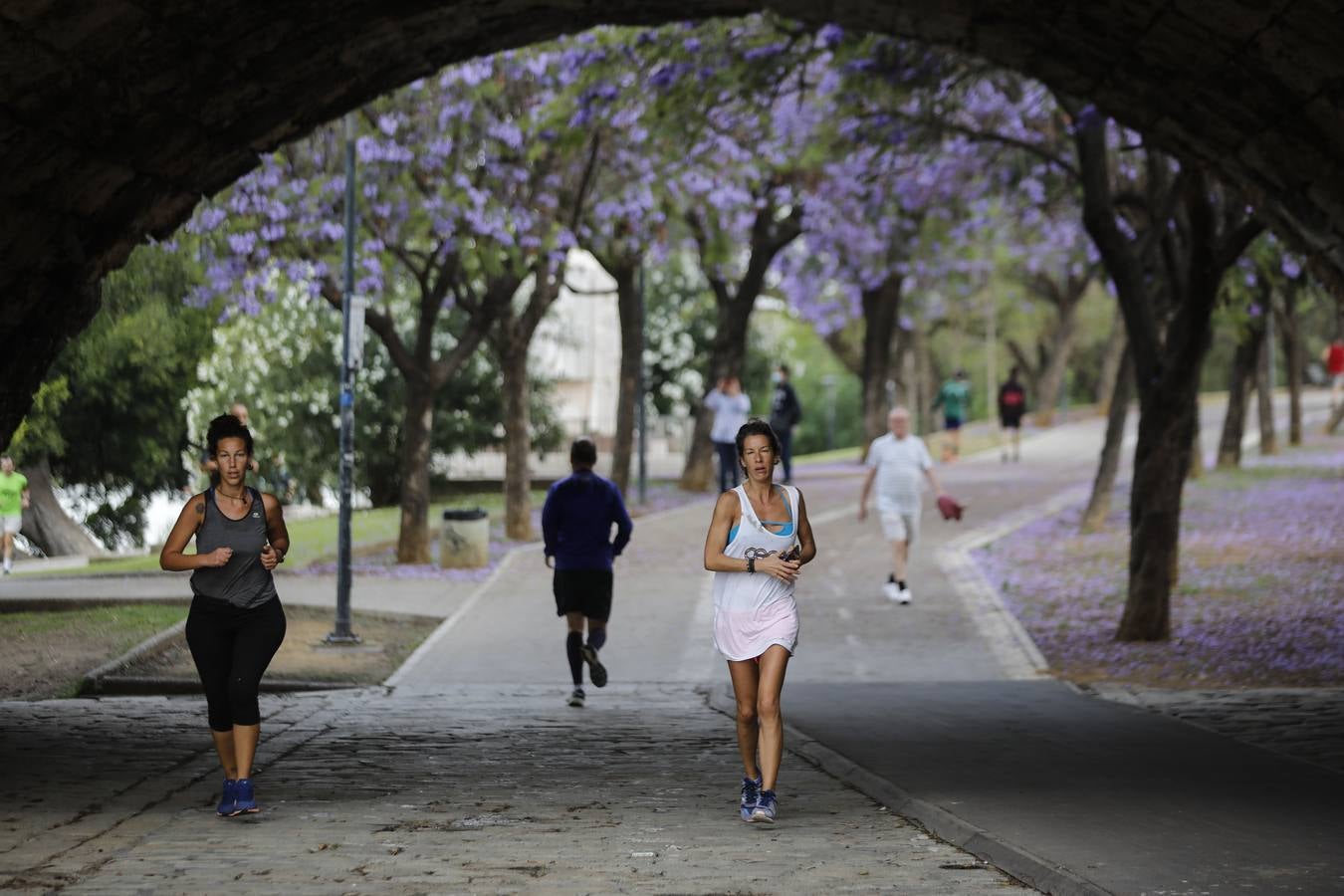 Sevilla, tomada por paseantes y deportistas