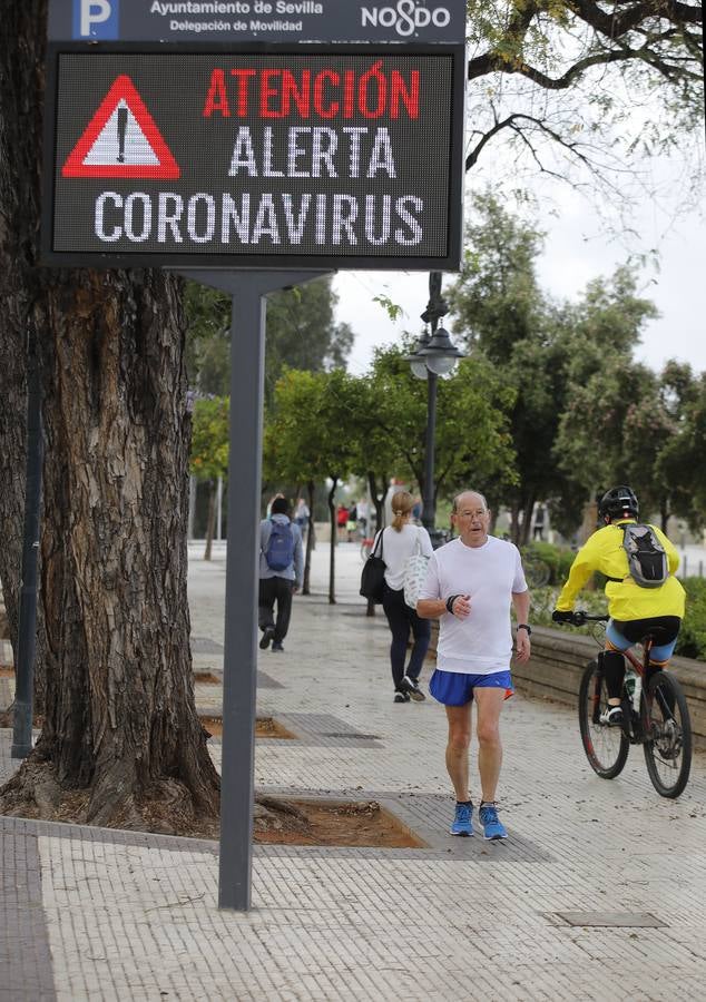 Sevilla, tomada por paseantes y deportistas