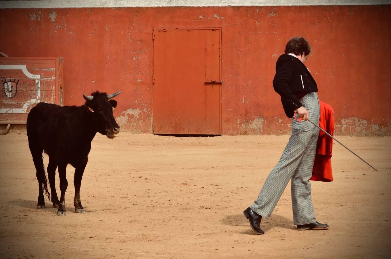 En imágenes, una jornada de campo en un tentadero en tiempos de coronavirus