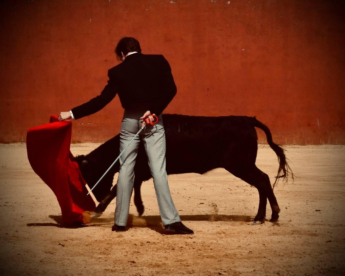 En imágenes, una jornada de campo en un tentadero en tiempos de coronavirus