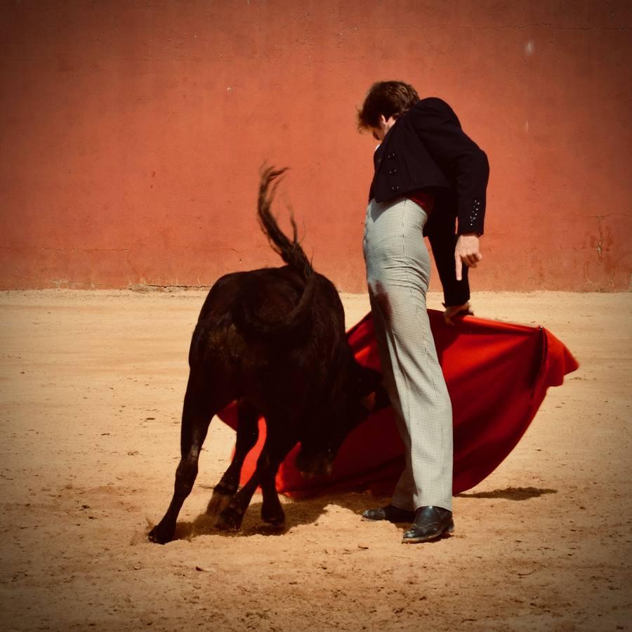 En imágenes, una jornada de campo en un tentadero en tiempos de coronavirus