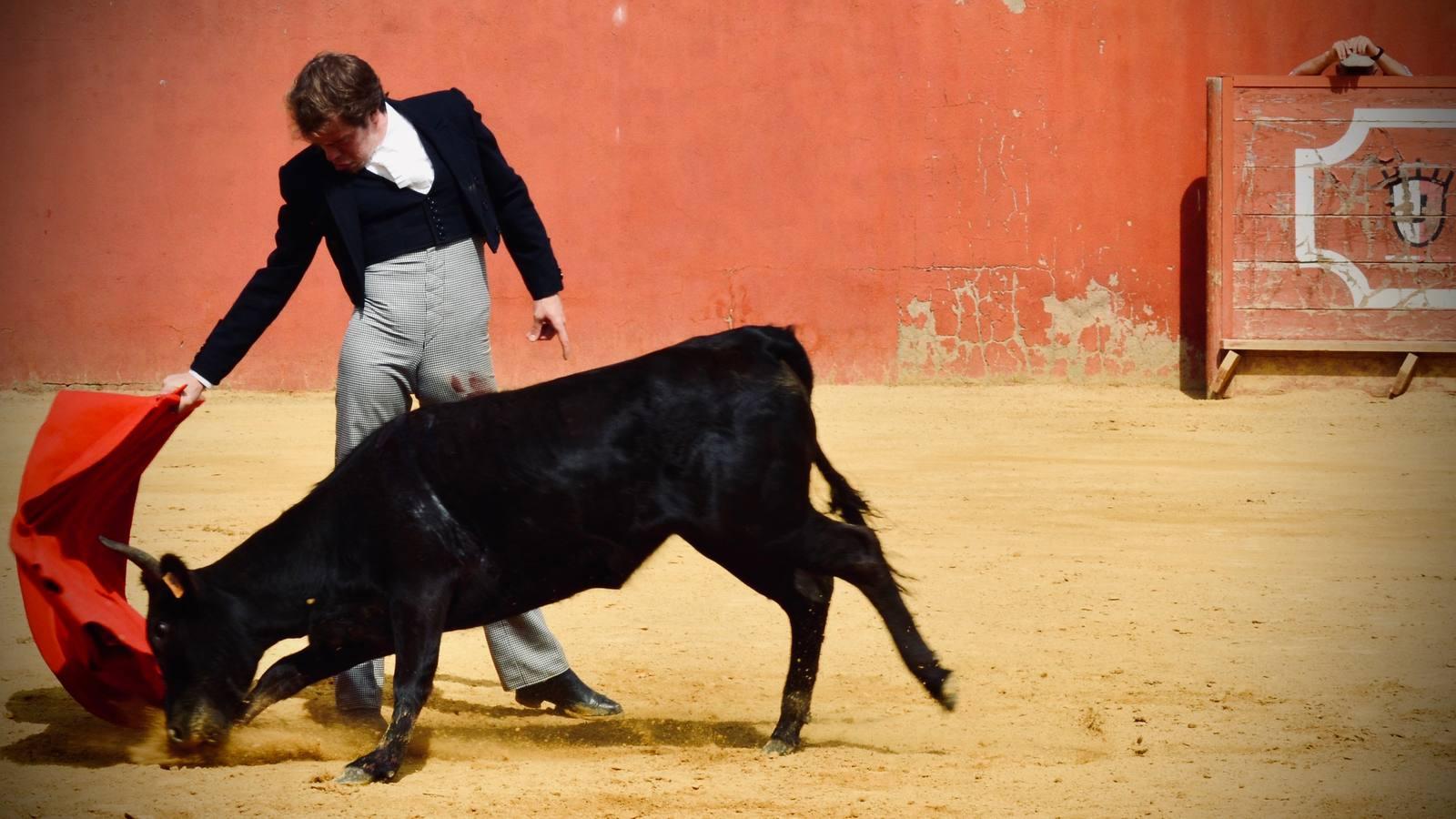 En imágenes, una jornada de campo en un tentadero en tiempos de coronavirus