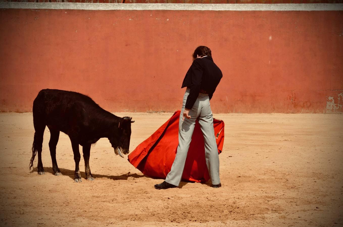 En imágenes, una jornada de campo en un tentadero en tiempos de coronavirus