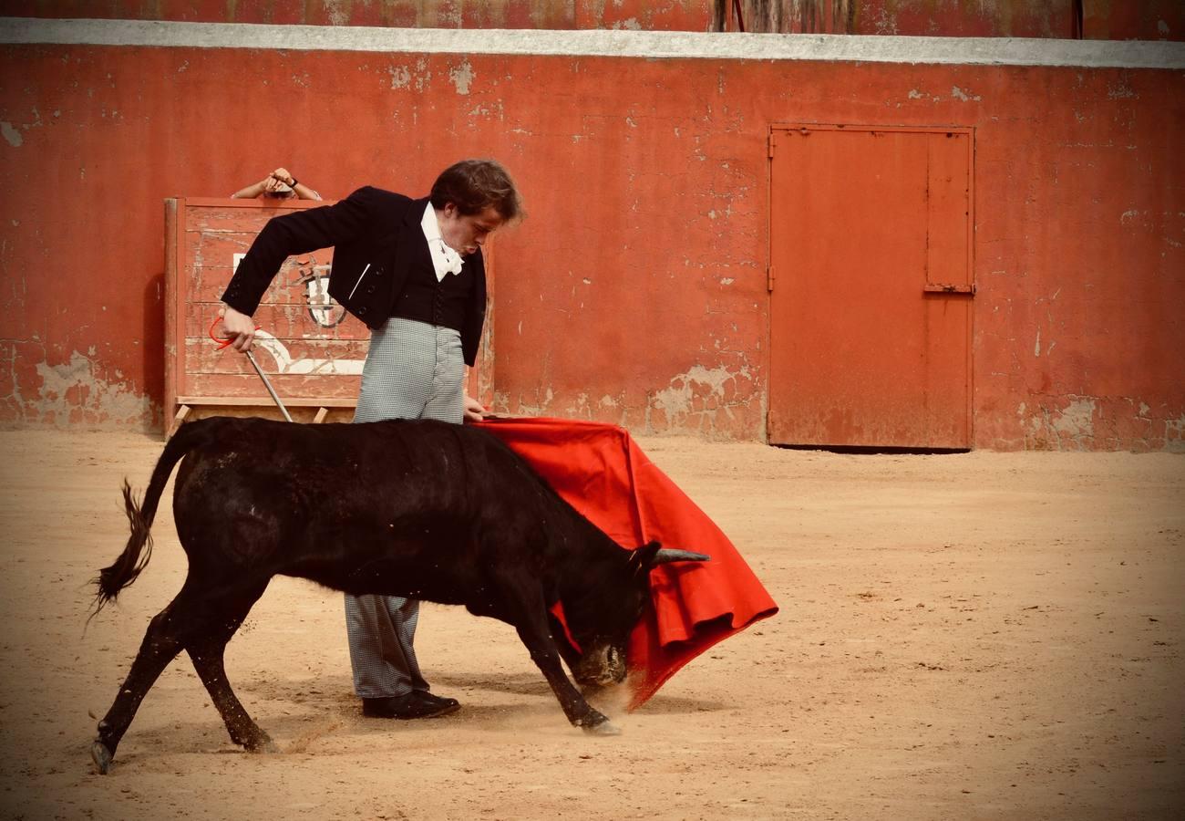 En imágenes, una jornada de campo en un tentadero en tiempos de coronavirus