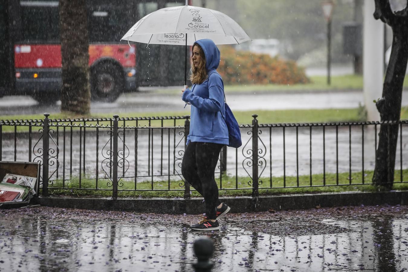 En imágenes, Sevilla bajo las fuertes lluvias y tormentas de este martes