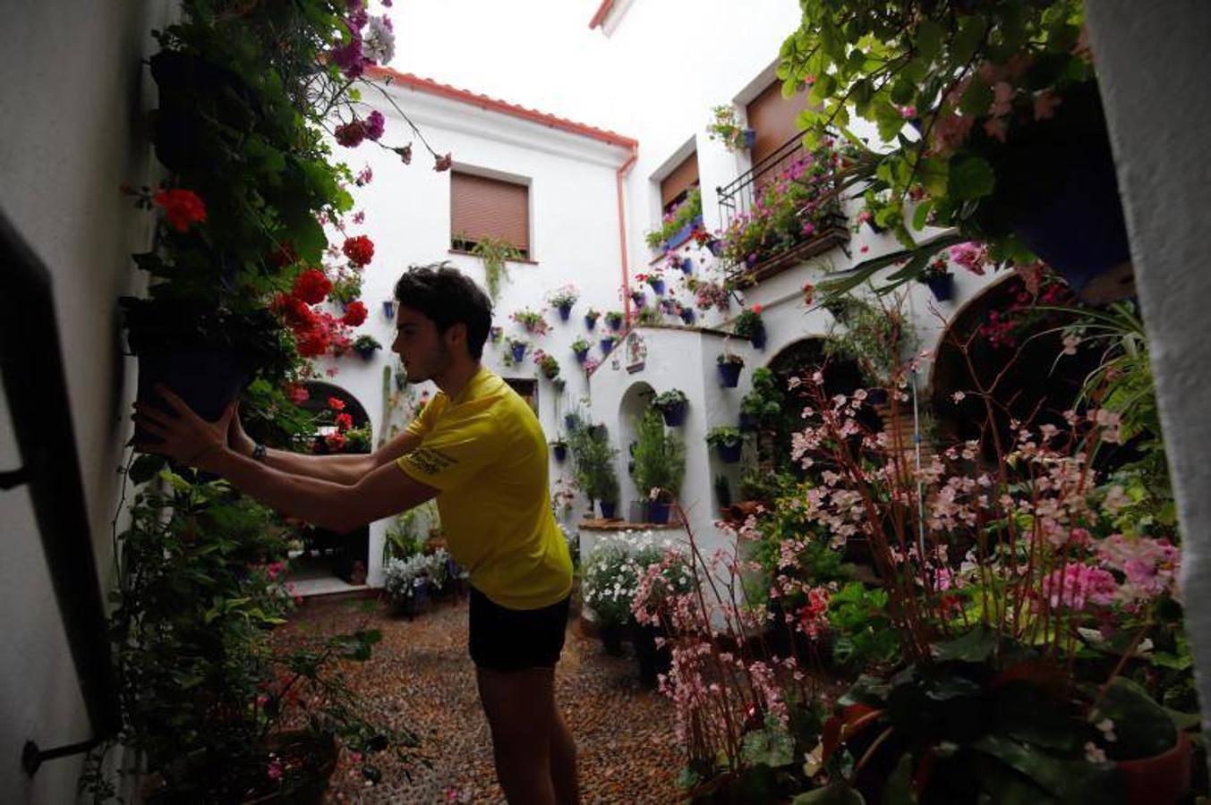 Los patios de Frailes y Alvar Rodríguez de Córdoba, en imágenes