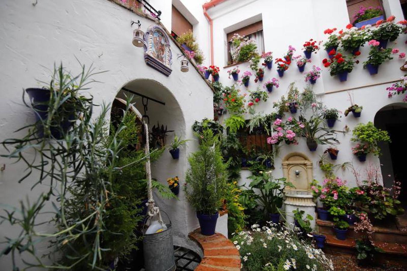 Los patios de Frailes y Alvar Rodríguez de Córdoba, en imágenes