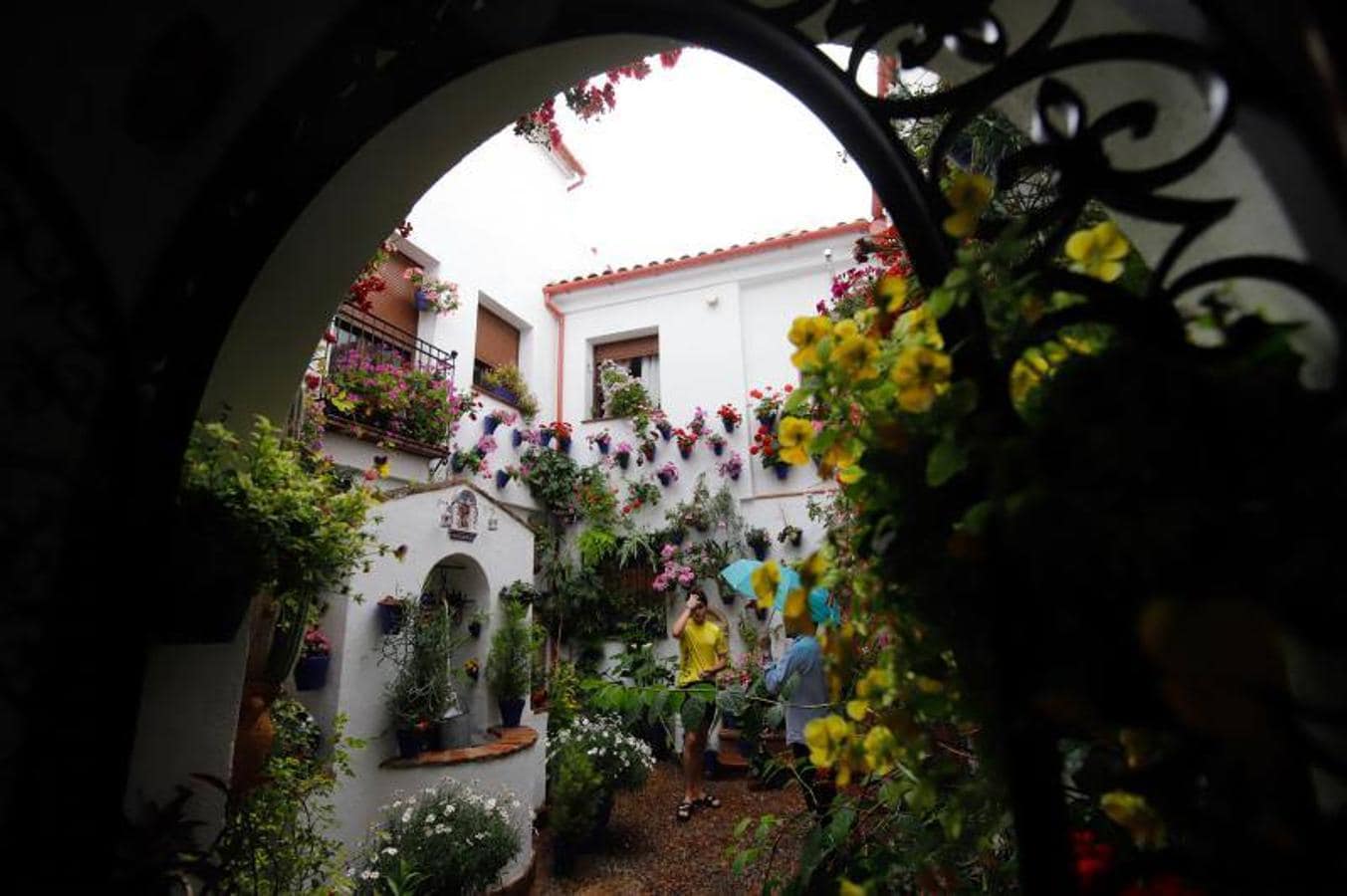 Los patios de Frailes y Alvar Rodríguez de Córdoba, en imágenes