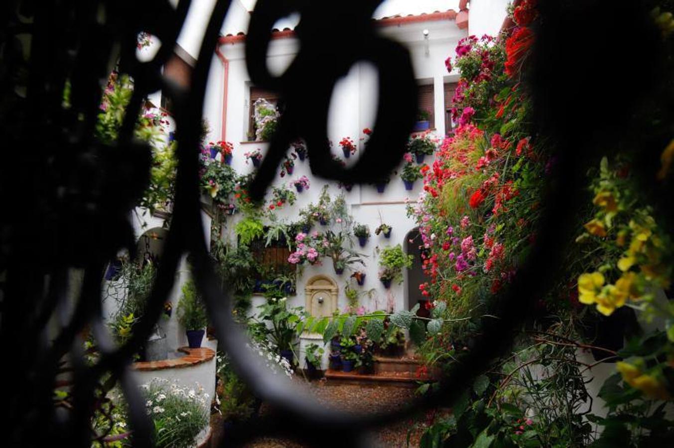 Los patios de Frailes y Alvar Rodríguez de Córdoba, en imágenes