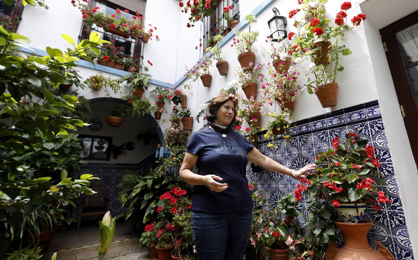 Los patios de Juan Fernández, 6 y Zarco,15 de Córdoba, en imágenes