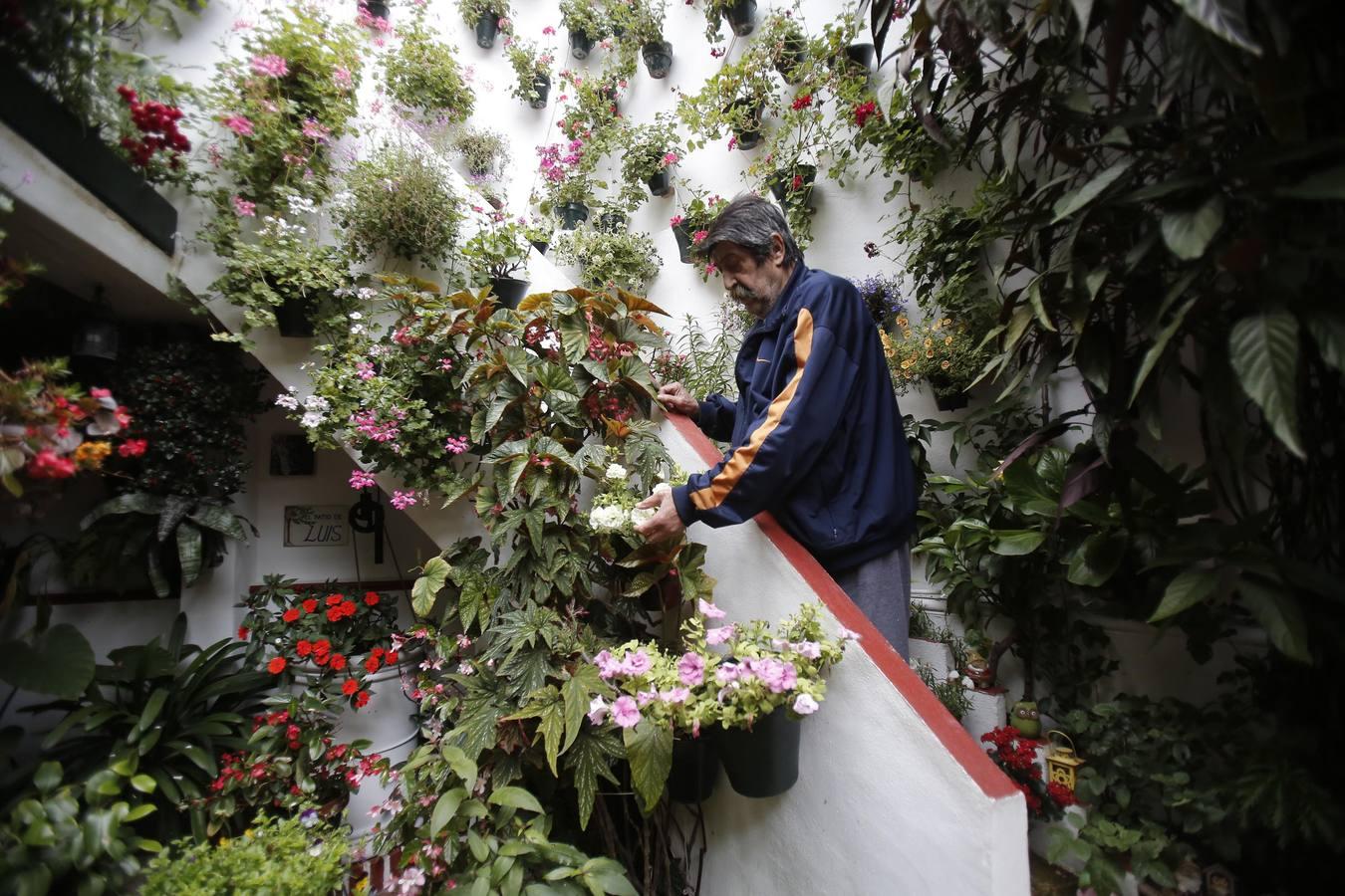 La esencia de los patios de Duartas y San Basilio, 44 en imágenes