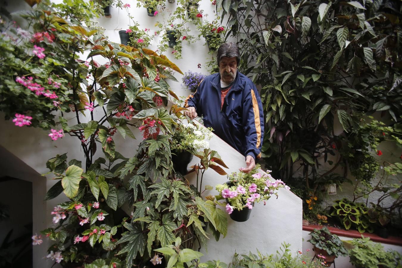 La esencia de los patios de Duartas y San Basilio, 44 en imágenes