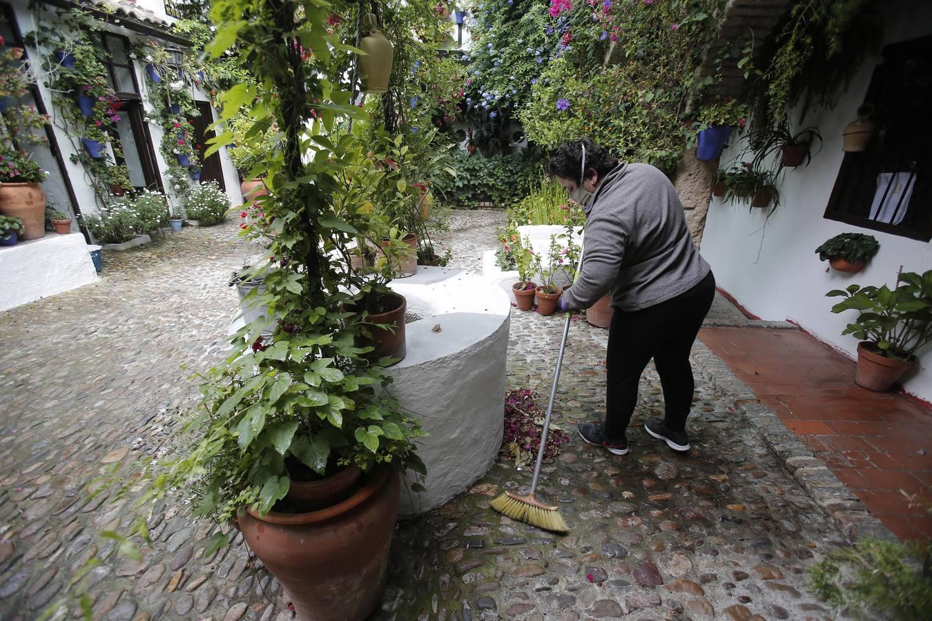 La esencia de los patios de Duartas y San Basilio, 44 en imágenes