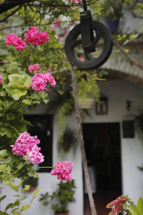 La esencia de los patios de Duartas y San Basilio, 44 en imágenes