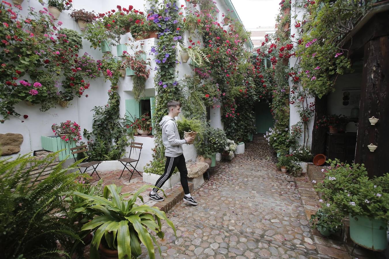 Los últimos sorbos de los Patios de Córdoba en San Basilio, en imágenes