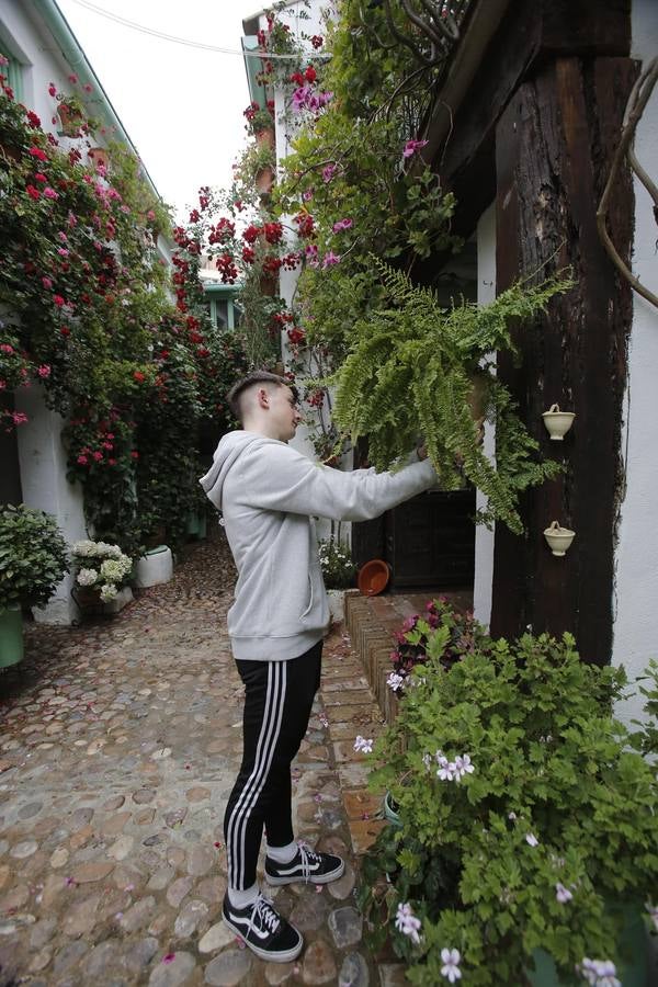 Los últimos sorbos de los Patios de Córdoba en San Basilio, en imágenes