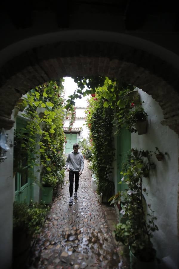 Los últimos sorbos de los Patios de Córdoba en San Basilio, en imágenes