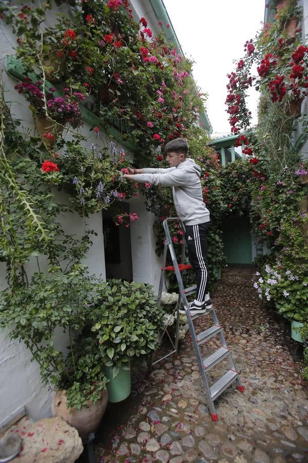 Los últimos sorbos de los Patios de Córdoba en San Basilio, en imágenes