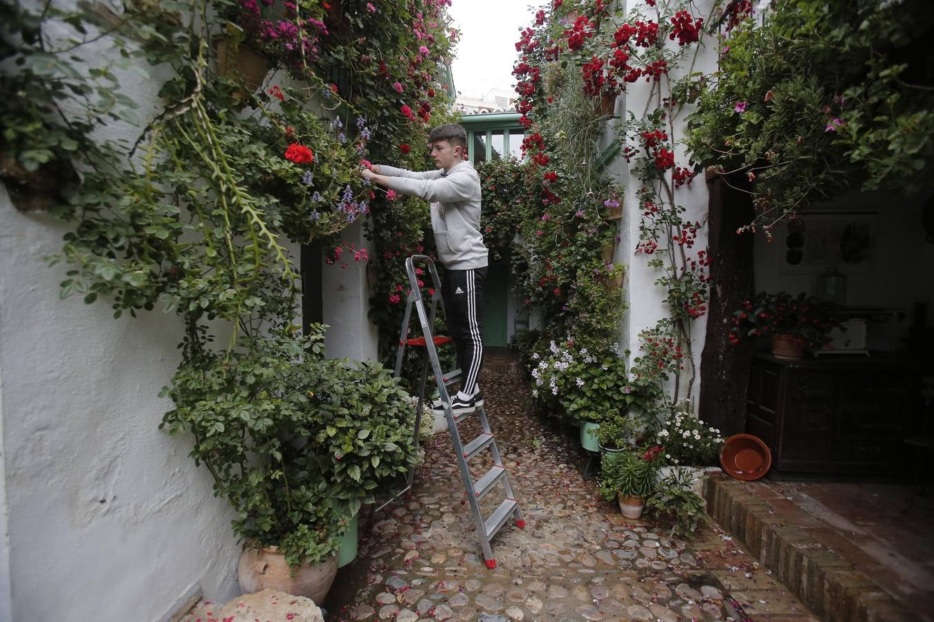 Los últimos sorbos de los Patios de Córdoba en San Basilio, en imágenes